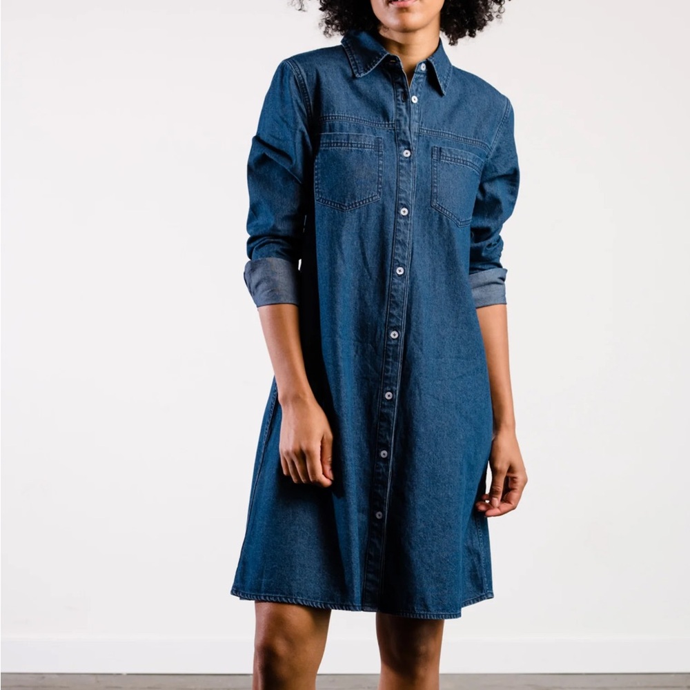 Able Kate Denim Swing Dress